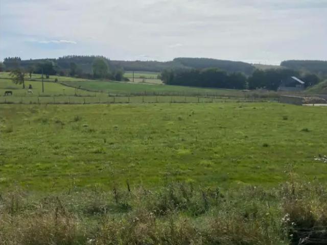 Terrain vente à Ortho, La Roche-en-Ardenne