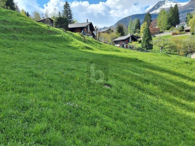 Grundstück kaufen in Dalpe, Tessin