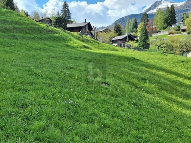 Immobilie kaufen in Dalpe, Tessin
