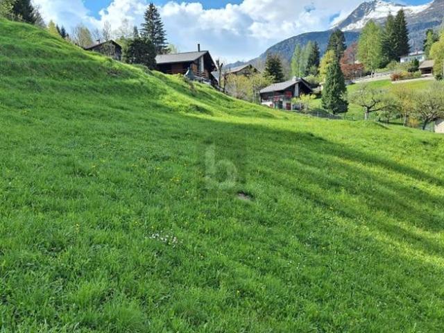 Grundstück kaufen in Dalpe, Tessin