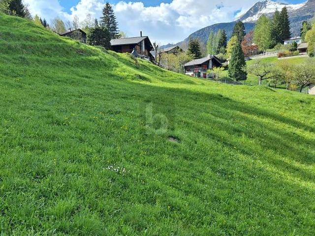 Immobilie kaufen in Dalpe, Tessin