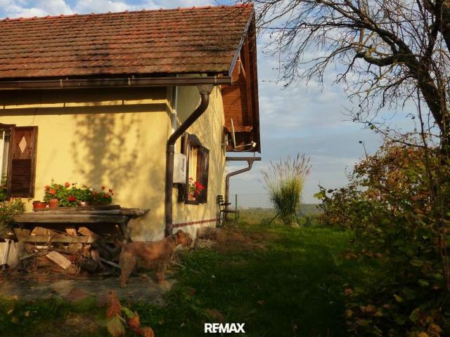 Haus kaufen in Steiermark