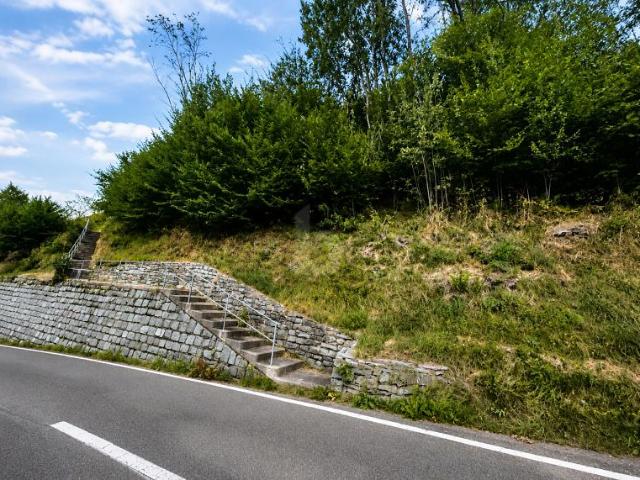 Immobilie kaufen in Faido, Tessin