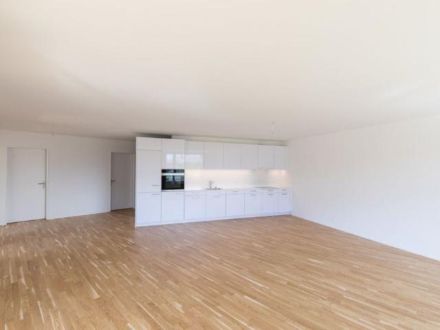 Apartment mieten in Boniswil, Aargau