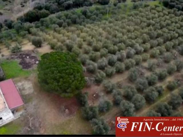 Terreno in vendita a Pisticci, Basilicata