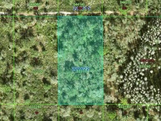 Land for sale in Kathleen, Florida