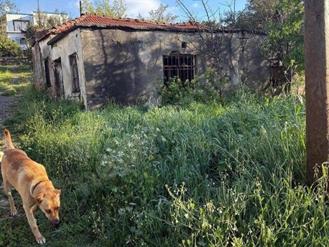 Bodrum, Muğla içerisinde satılık Arsa