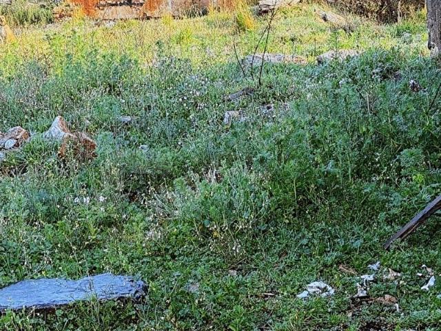 Bodrum, Muğla içerisinde satılık Arsa