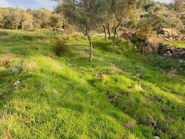 Milas, Muğla içerisinde satılık Arsa