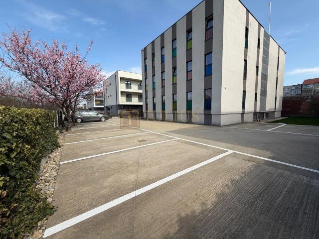 Apartament închirieri în Timisoara, Timiș