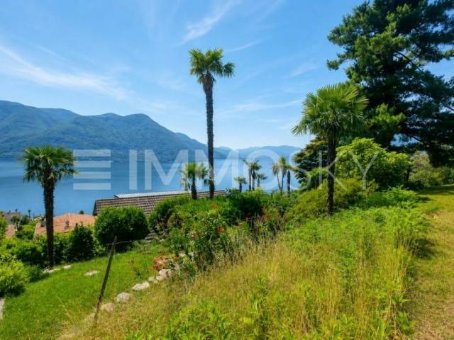 Wohnung kaufen in Brissago, Tessin