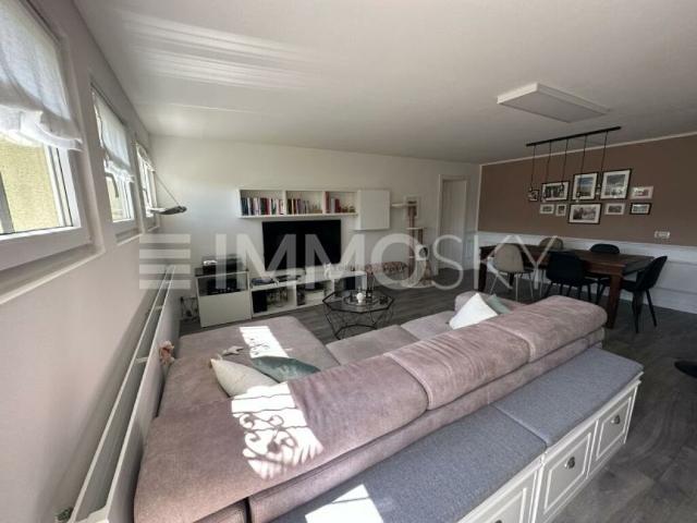 Einfamilienhaus kaufen in Pura, Tessin