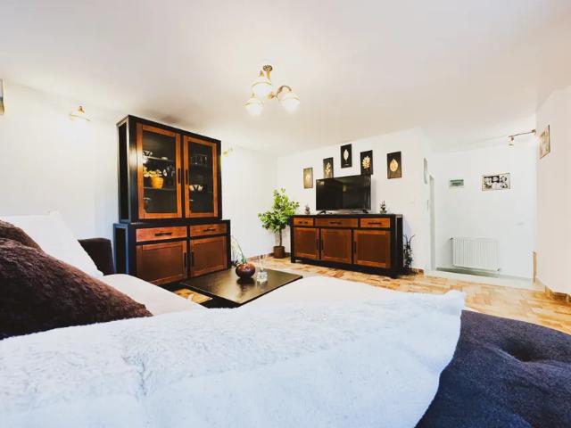 Apartament închirieri în Timiș