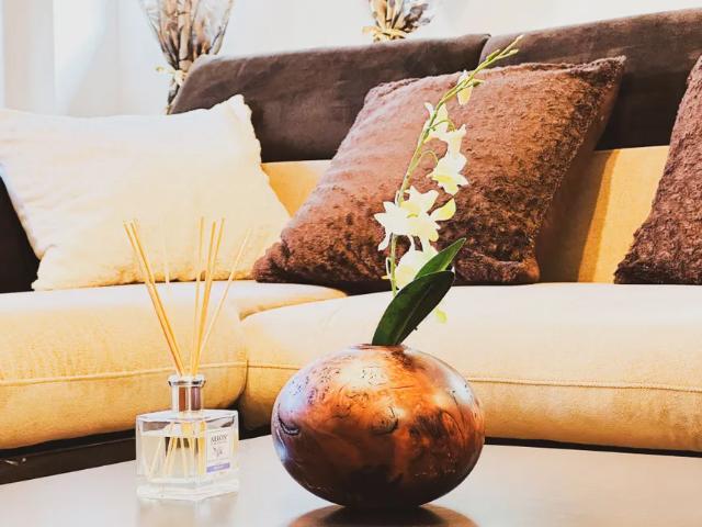 Apartament închirieri în Dumbravita, Timiș