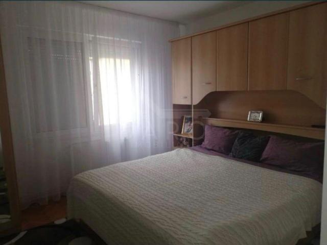 Apartament închirieri în Sângeorgiu de Mureș, Mureș