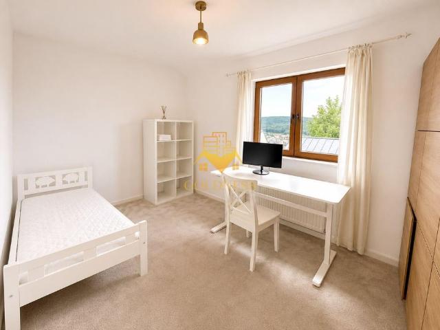 Apartament închirieri în Europa, Cluj-Napoca
