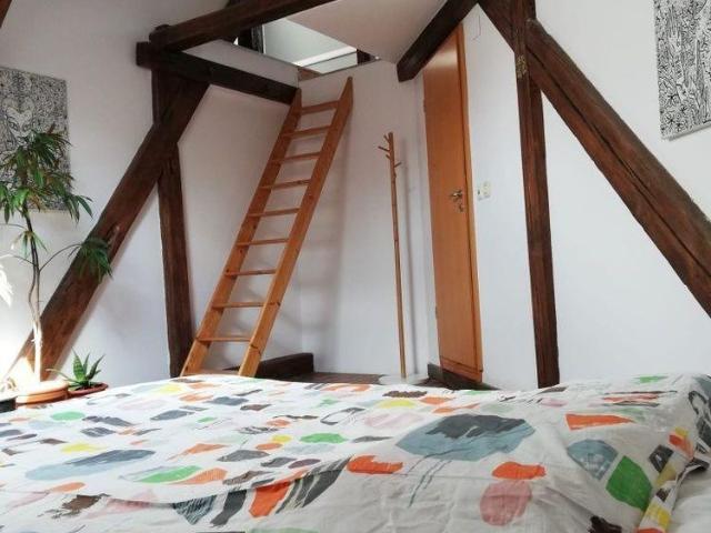 Apartament închirieri în Elisabetin, Timișoara
