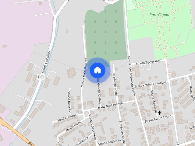 Apartament închirieri în Vaslui