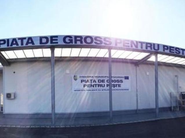 Spațiu Comercial închirieri în Giurgiu
