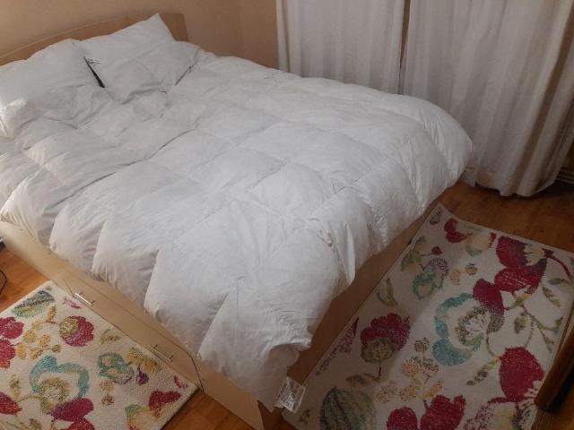 Apartament închirieri în Mircea Cel Batran, Iași