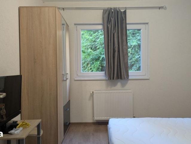 Apartament închirieri în Arad
