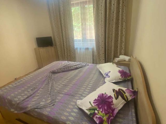 Apartament închirieri în Caraș-severin