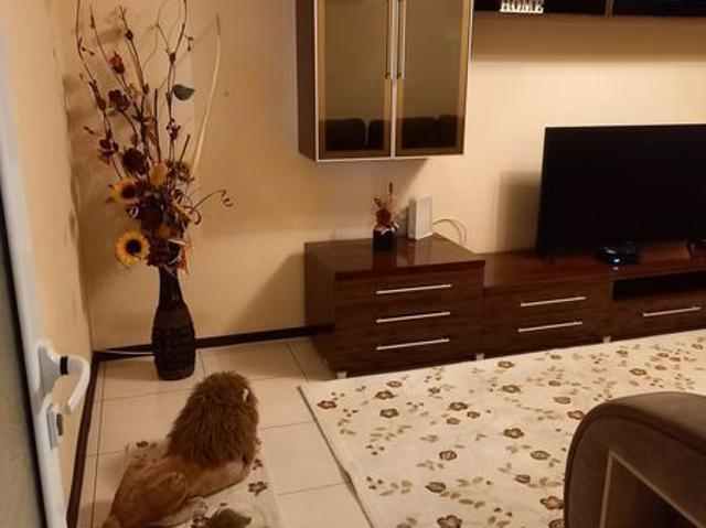 Apartament închirieri în Braila, Brăila