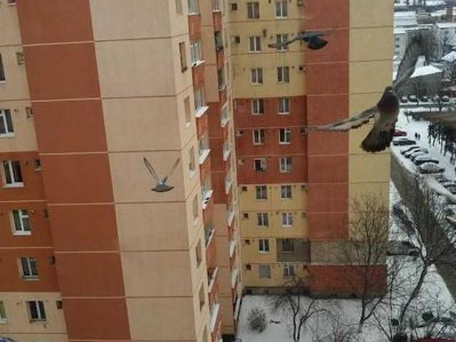 Apartament închirieri în Piatra Neamț, Neamț