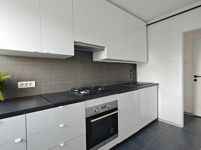 Apartament închirieri în Timisoara, Timiș