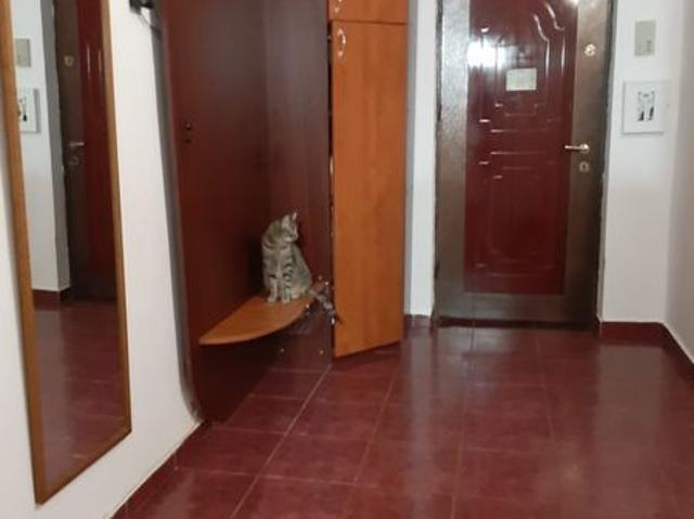 Apartament închirieri în Bora, Slobozia