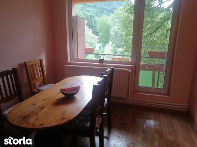 Apartament închirieri în Baia Mare, Maramureș