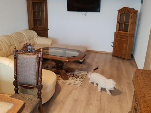 Apartament închirieri în New Point Residence, Voluntari