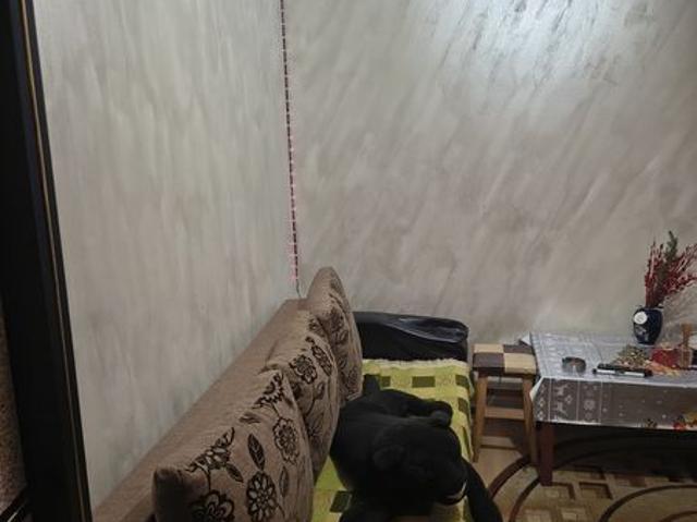 Apartament închirieri în Piatra Neamt, Neamț
