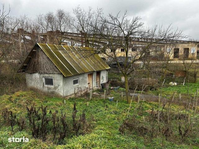 Casă închirieri în Mahmudia, Tulcea
