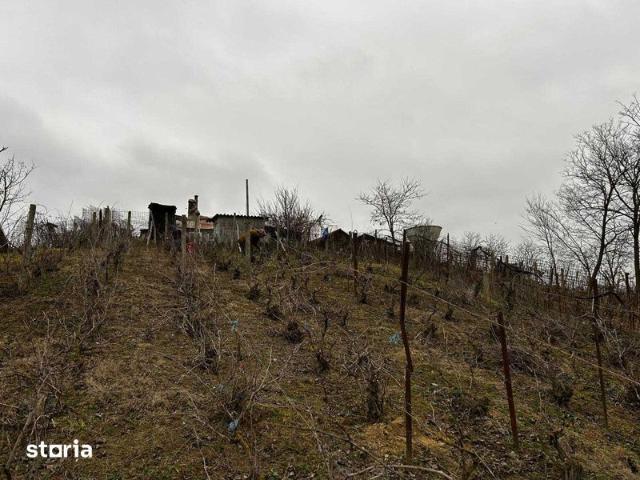 Casă închirieri în Mahmudia, Tulcea