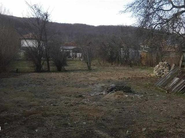 Casă închirieri