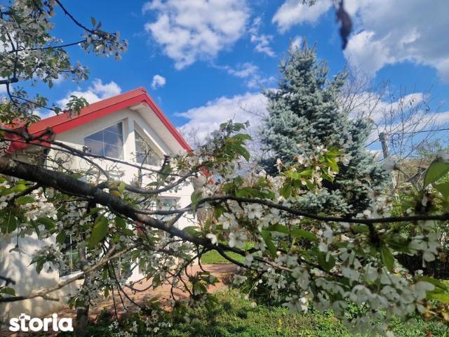 Casă închirieri