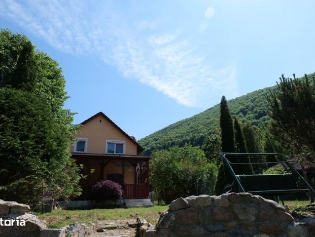 Casă închirieri