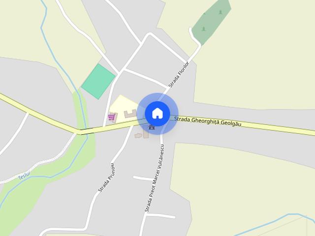 Casă închirieri în Pielesti, Dolj