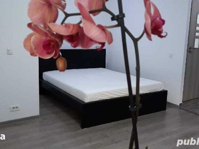 Apartament închirieri în Sector 2, București