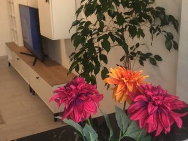 Apartament închirieri în Satu Mare