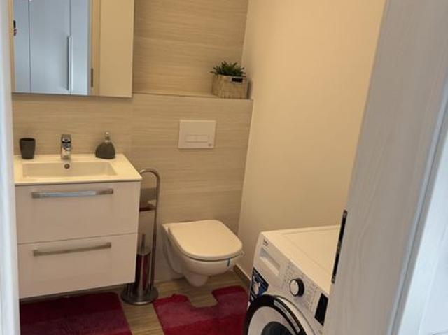 Apartament închirieri în Catelu, București