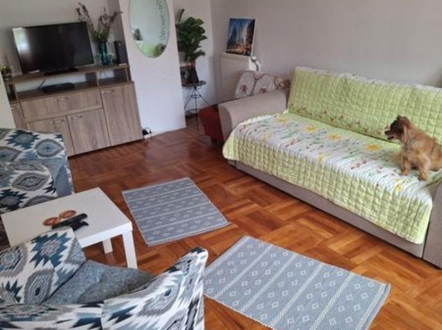 Garsonieră închirieri în Prahova