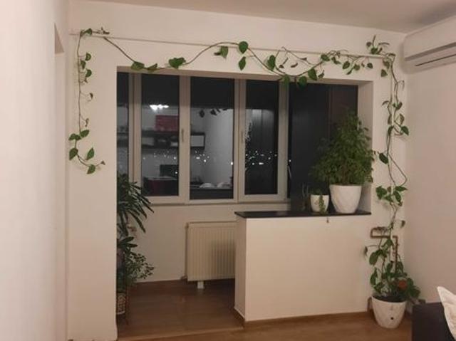 Garsonieră închirieri în Arad