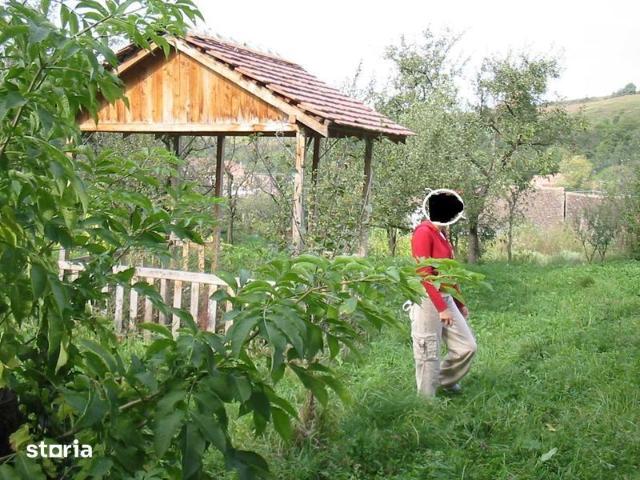 Casă închirieri în Sura Mare, Sibiu