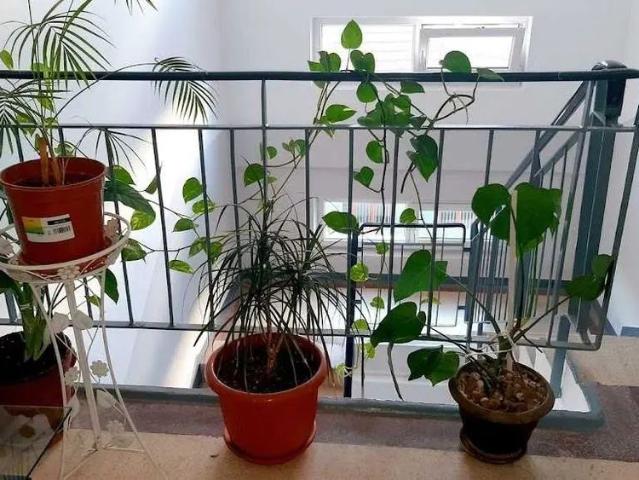 Apartament închirieri în Centrul istoric (Cetatea), Brașov