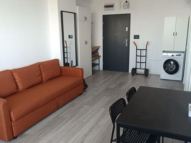 Apartament închirieri în Timisoara, Timiș
