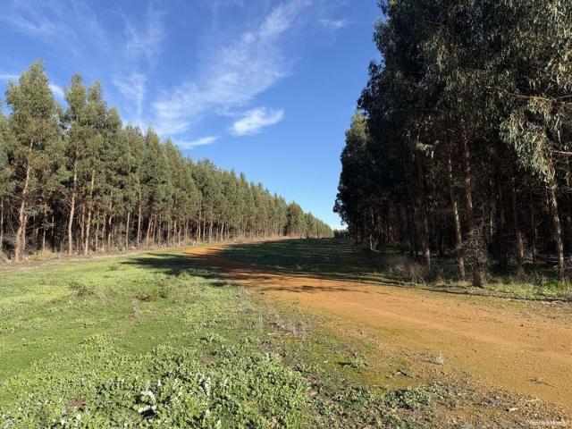 Acreage for sale in Narrikup, Western Australia
