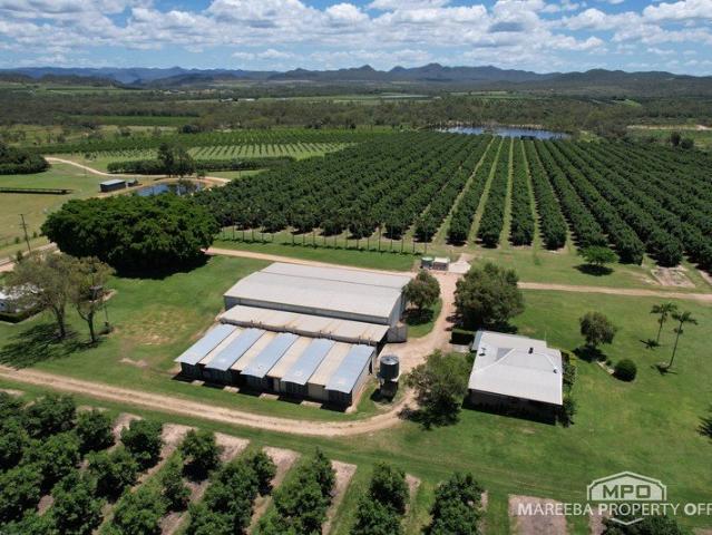 Cottage for sale in Dimbulah, Queensland