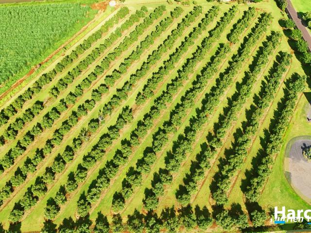 Land for sale in Childers, Queensland